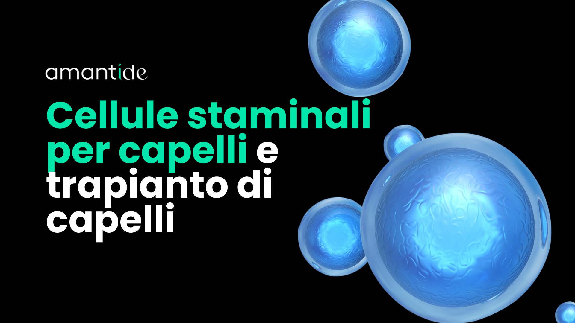 cellule staminali trapianto capelli | amantide