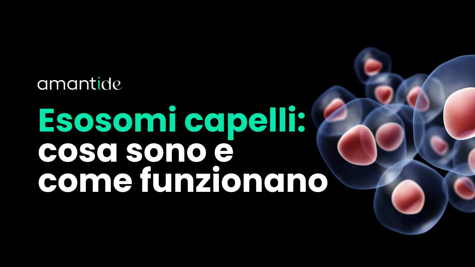esosomi capelli | trapianto capelli turchia | amantide