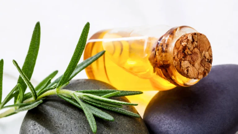 Olio di rosmarino per capelli: funziona? Guida completa 2026